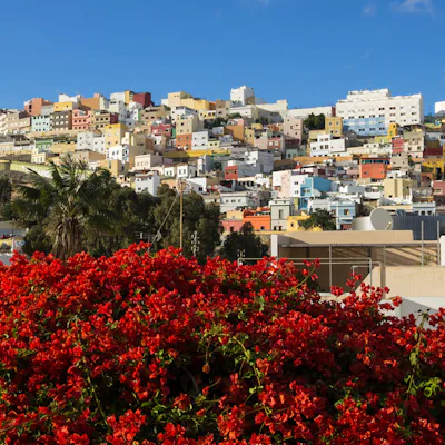 Vackra blommor och färgglad arkitektur i Las Palmas på Gran Canaria, Kanarieöarna.