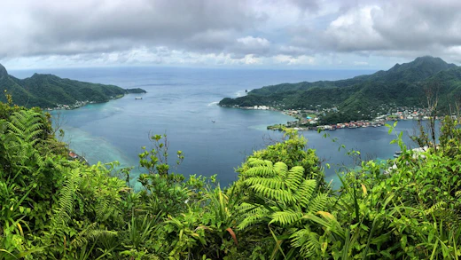 Den naturliga djupvattenshamnen omgiven av grön regnskog