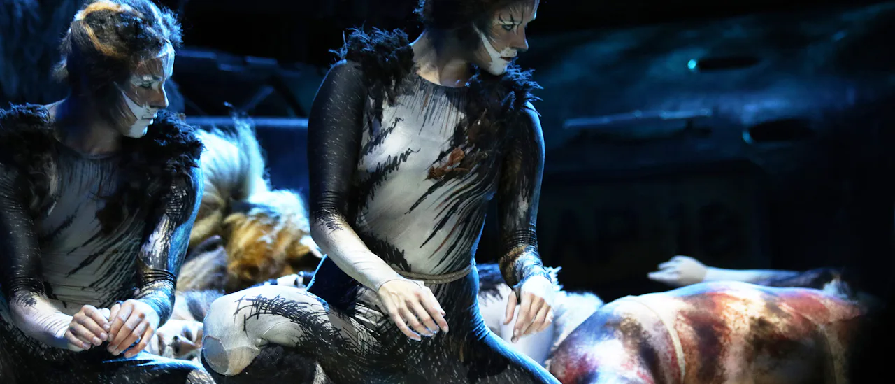Huvudattraktionen i teatern är en 90 minuter lång och påkostad uppsättning av musikalen Cats.