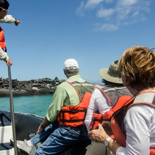 Båtutflykt med Club Eriks för att titta på djur.