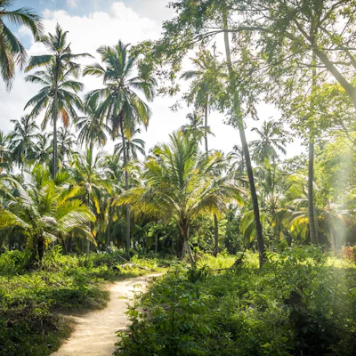Tayrona Natural National Park i Santa Marta, Colombia.