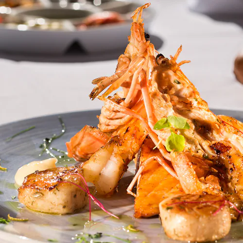 Fisk och skaldjur vackert upplagt på tallrik ombord på Holland America Line.