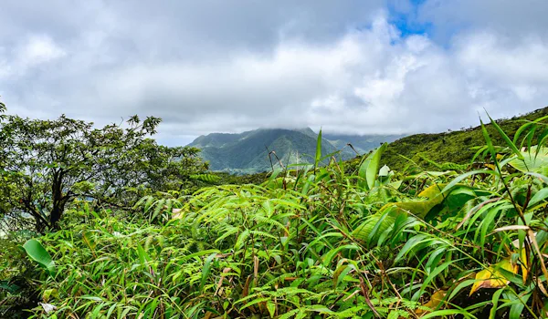 Den högsta toppen på St. Vincent och Grenadinerna - La Soufriere.